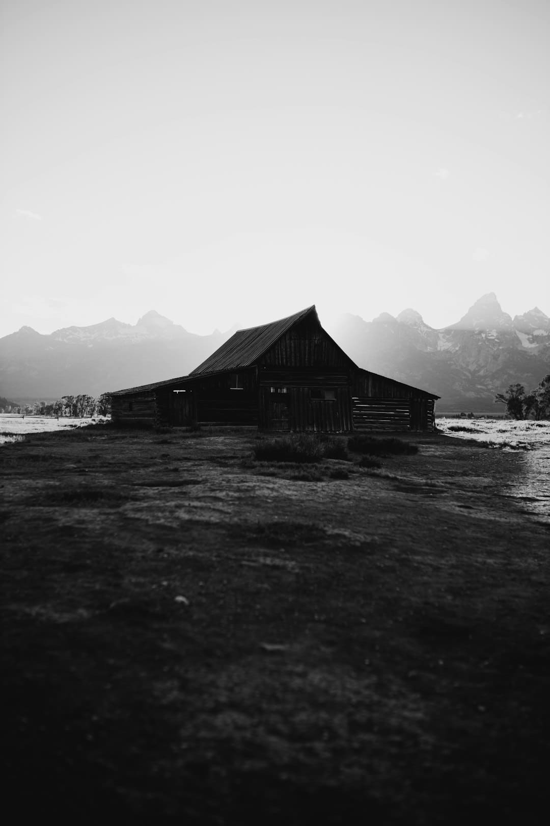 https://img2.utuku.imgcdc.com/650x0/news/20250808/628598a8-199a-4256-984e-31fe3ef8272f.jpg